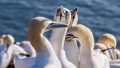 多多28pg-AG下载——开启畅快、安全的下载新体验