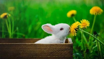 多多28模拟器-开云体育：让热爱变成行动的全场景体育生活